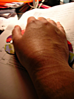 20060228092340-imagen.jpg