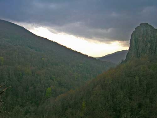 20060411145737-imagen-327.jpg