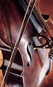violoncello.jpg